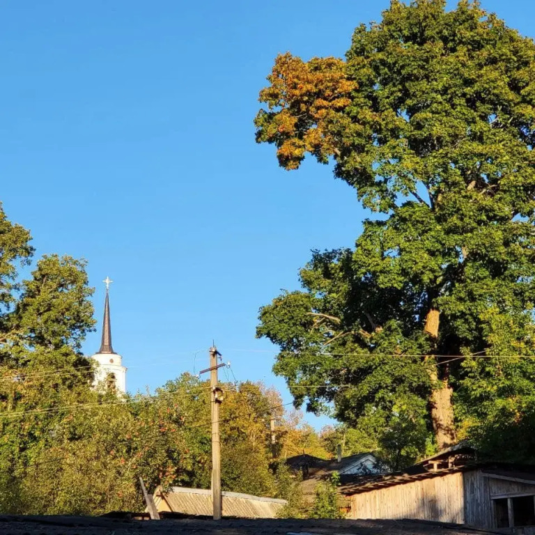 Дом Exclusive palace