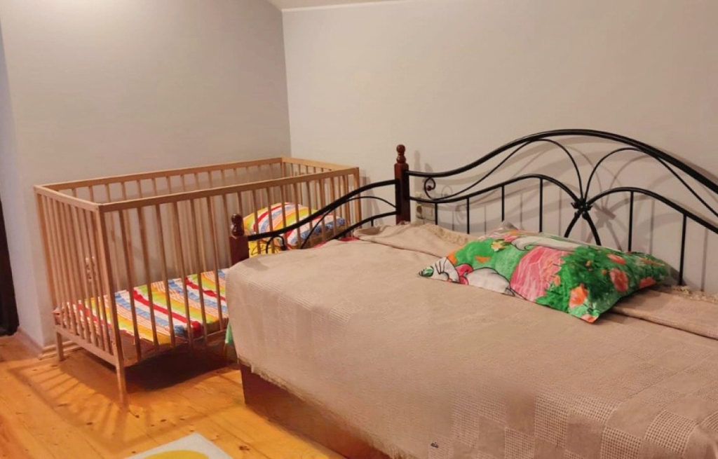 Частный Дом с Беседкой на Проспекте Дзержинского 25