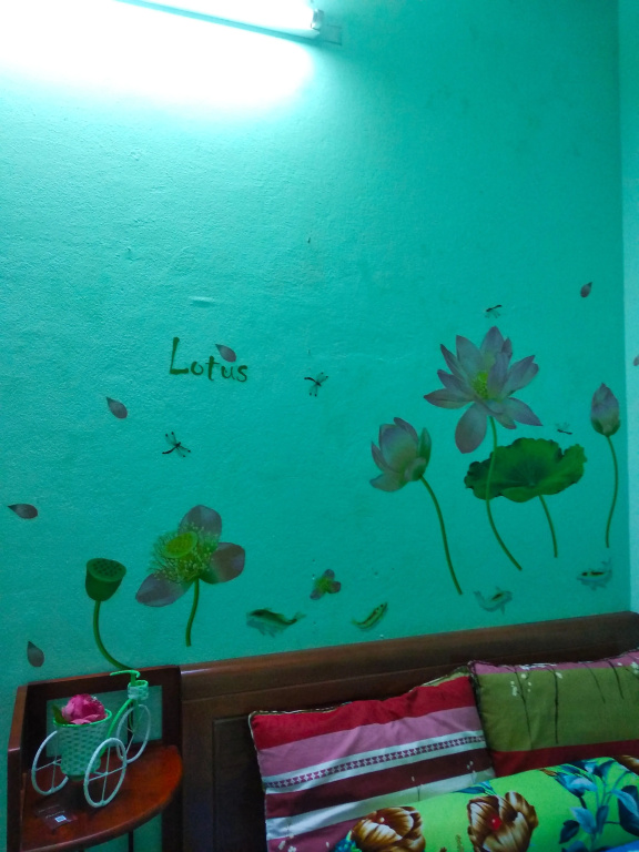 Гостевой Дом Win's Danang Homestay