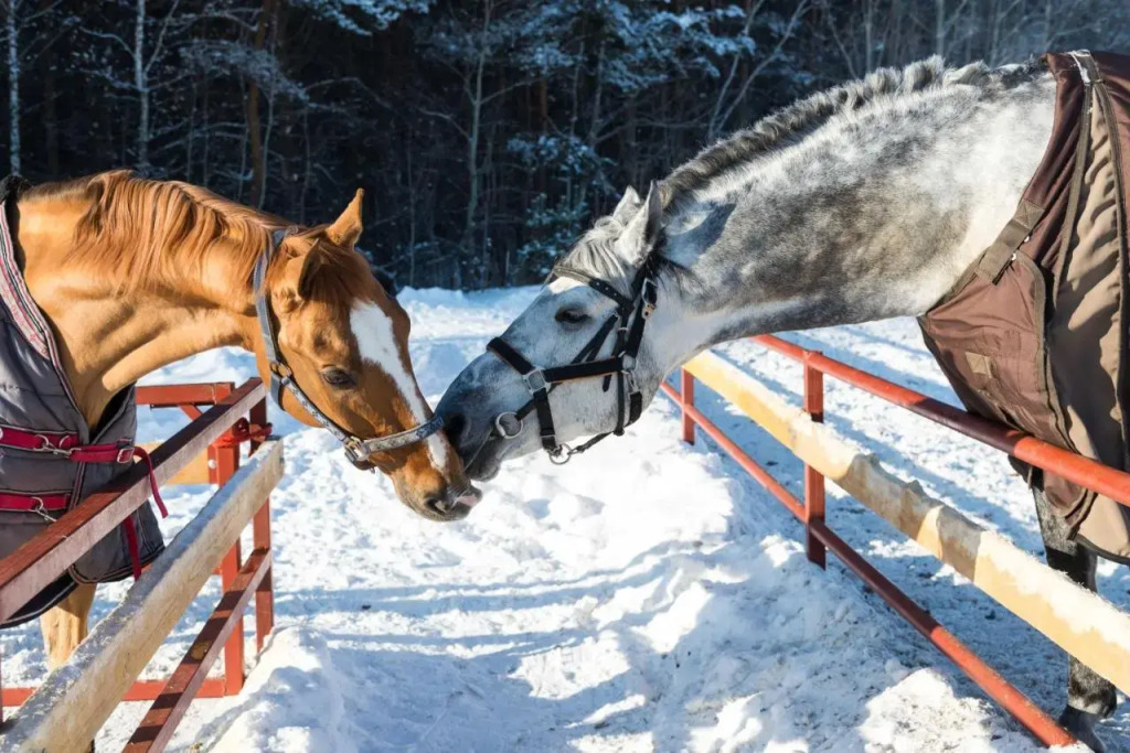 Отель Загородный клуб