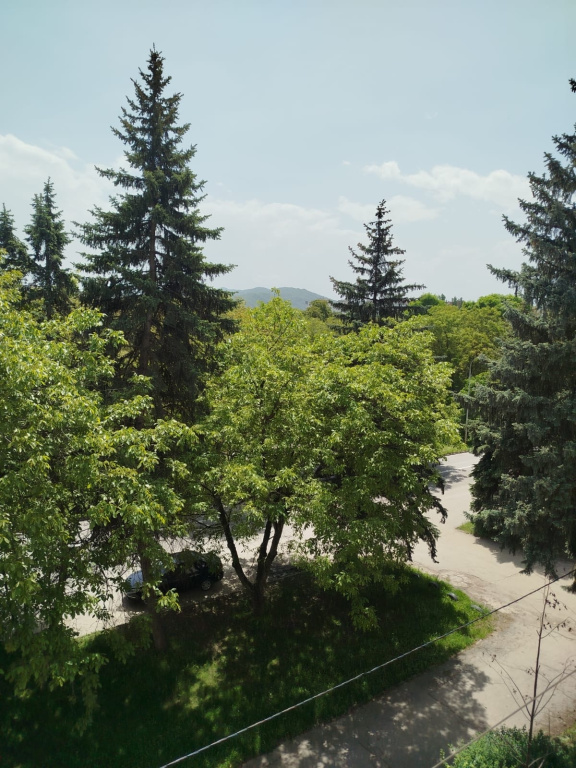 Квартира Шортанова 17