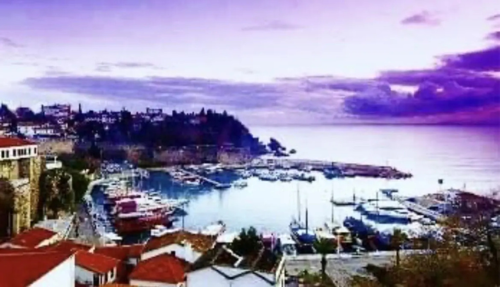 Osi Pansiyon