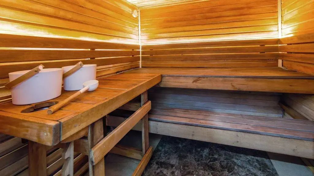 Отель Bergs Spa and Сonference hotel