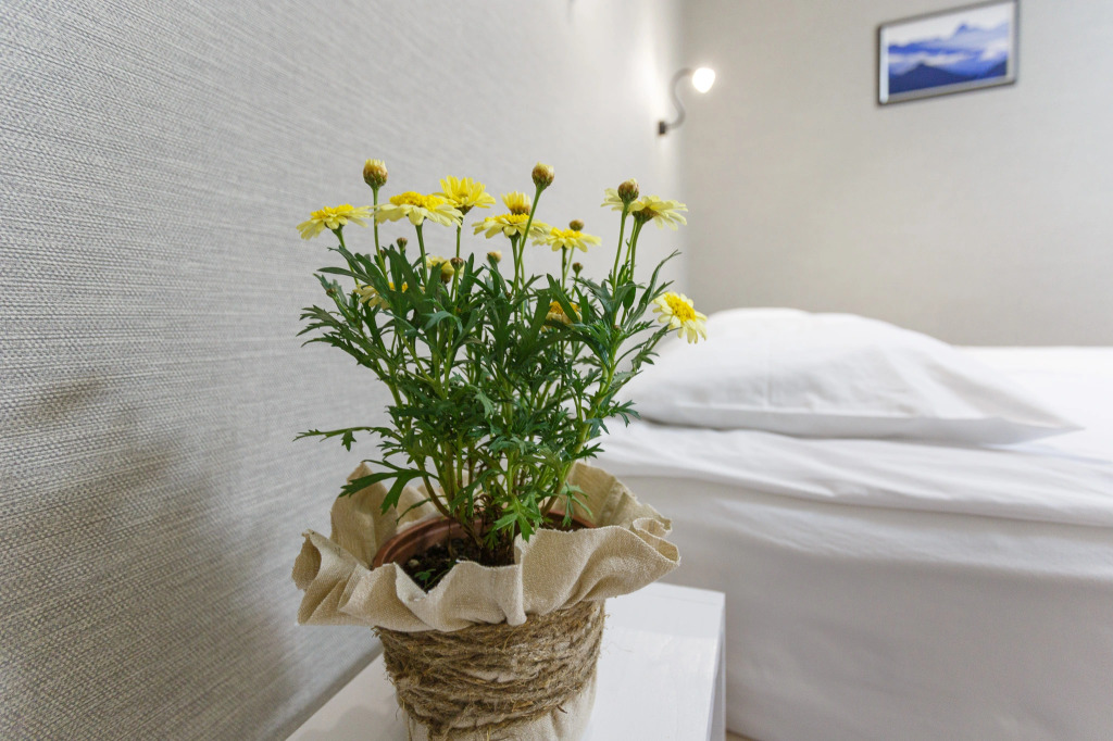 Гостевой Дом Бамбук-Хутор