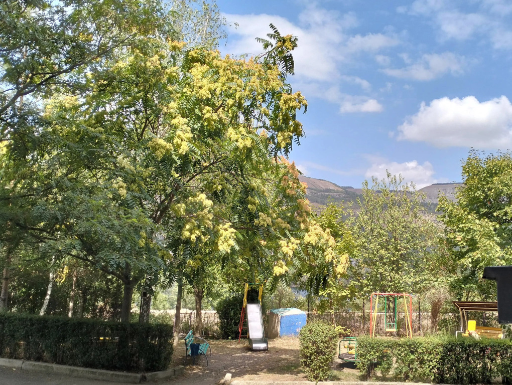 Квартира 44 Параллель