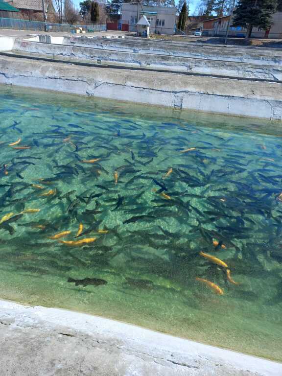 Отель Лагуна