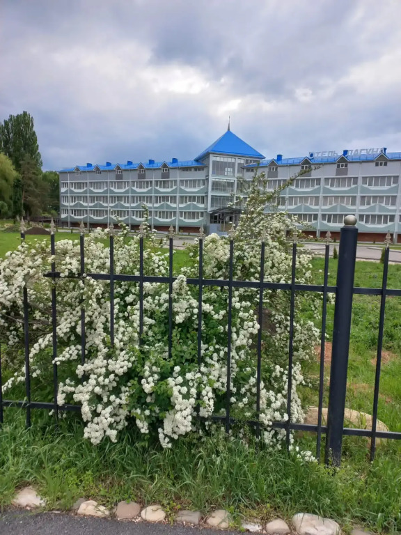 Отель Лагуна