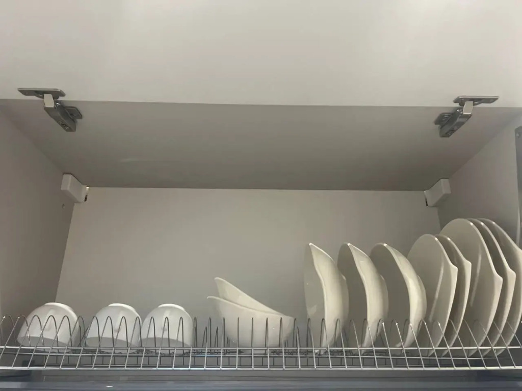 Green City View Flat