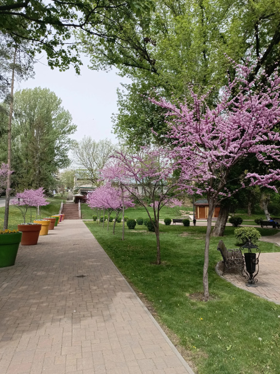 Частный дом у Парка