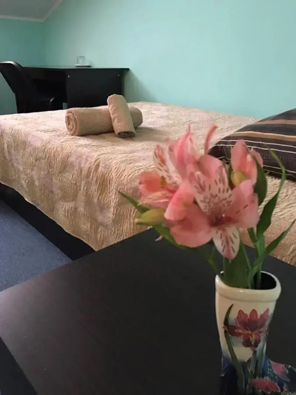 Отель Белая гора