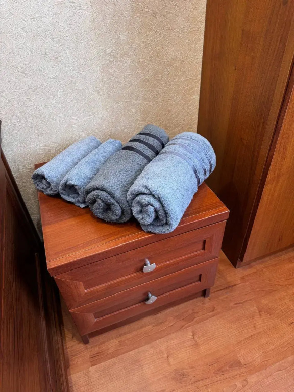 V Samom Tsentre Pyatigorska Flat