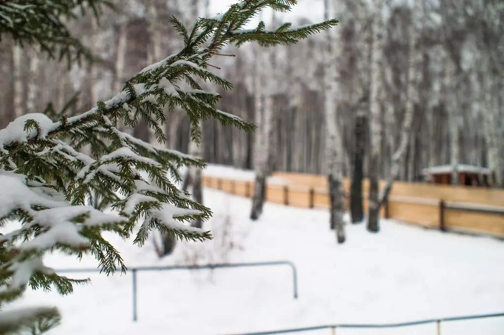 Отель Лыжная база станции Екатеринбург-Сортировочный Дирекция социальной сферы Свердловской железной дороги – филиала ОАО РЖД