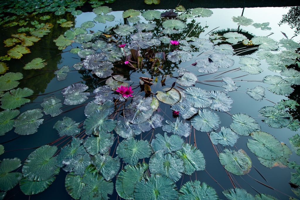 Гостевой Дом Ninh Binh Valle Montana Homestay