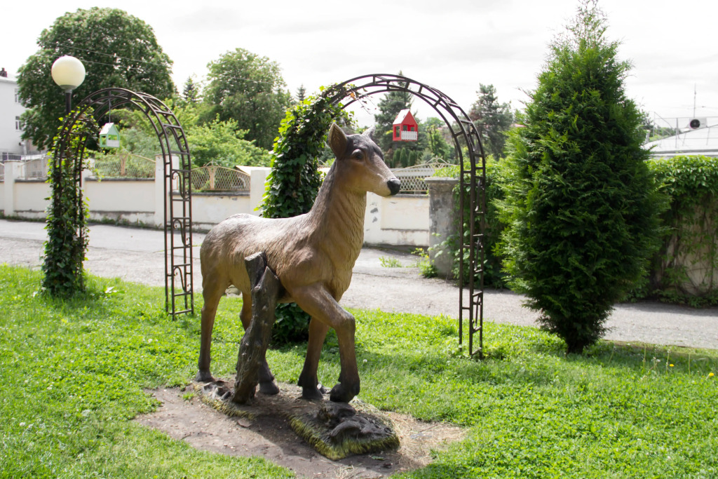 Санаторий Смена