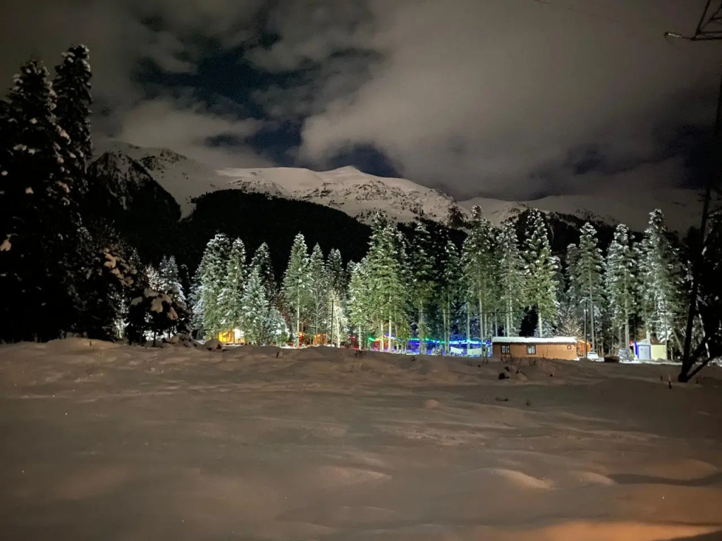 База отдыха Forest house resort