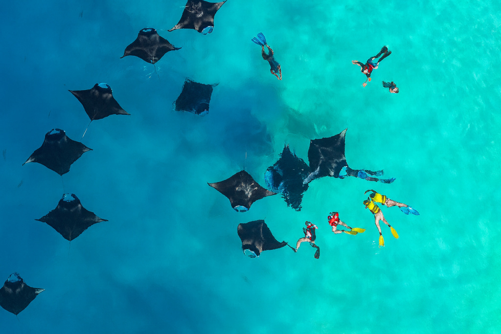Отель Wings by Hawks Kamadhoo Baa Atoll