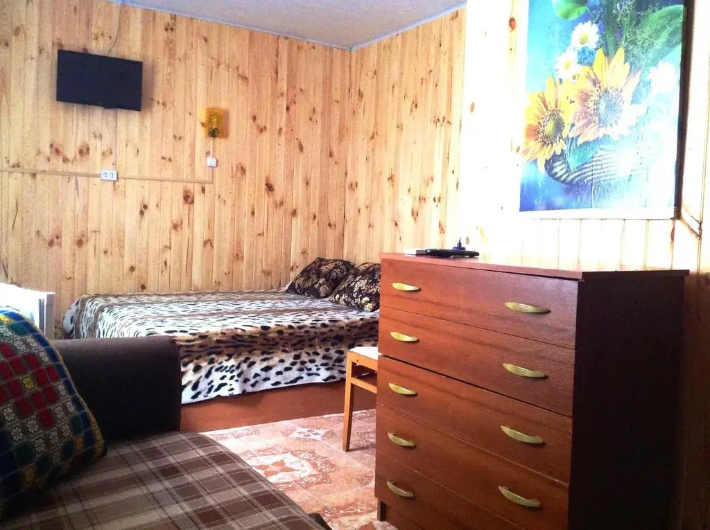 Ivolga Guest House