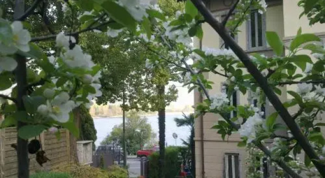 Bed & Breakfast Villa Palma, Брондау Вилла Lovere Lake Iseo