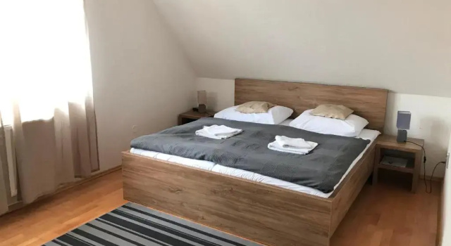 Двухместный номер Deluxe Hotel Orlan