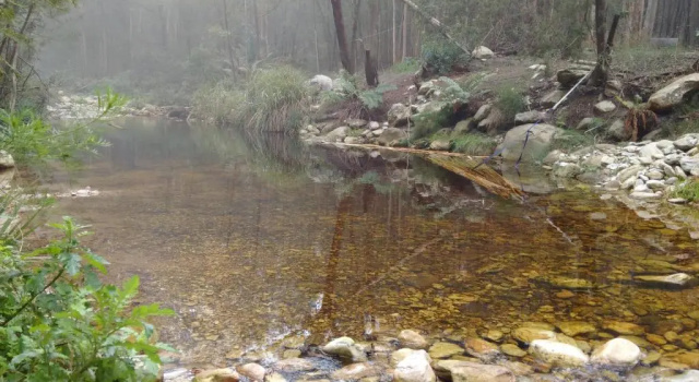 Тент Wolfkloof Boerdery