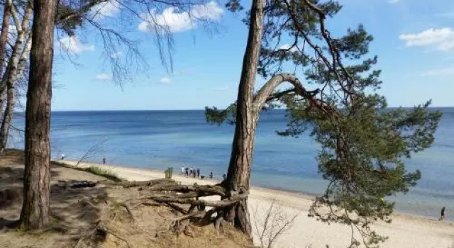 Apartament Magnolia, Забронировать Апартаменты/квартира Отели Gulf of Gdansk с парковкой, Парковка