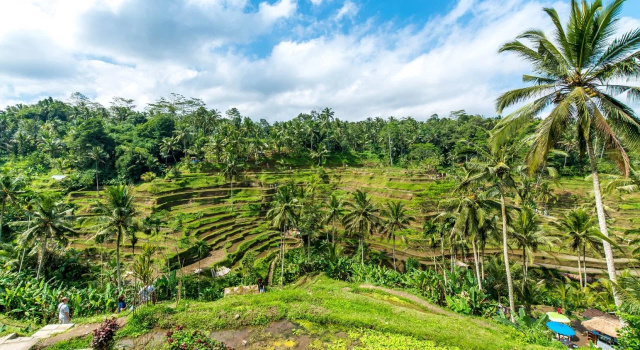 Ayu Ubud Hostel, Prenota Ostello Ubud Gianyar