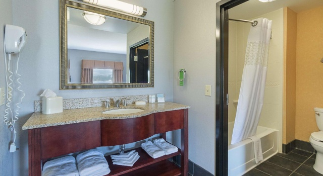 Двухместная студия Hampton Inn and Suites Indianapolis/Brownsburg