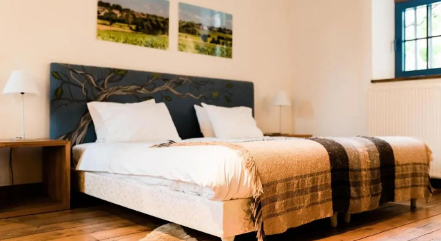 Двухместный номер Standard Indrani Lodge
