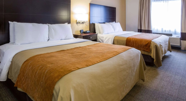 Четырёхместный номер Standard Comfort Inn & Suites Paw Paw