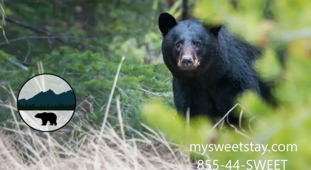 MVC - Unit 3503 - Mountain View West, Забронировать Отель Отели Great Smoky Mountains National Park с парковкой, Парковка