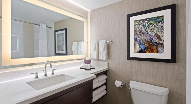 Двухместный люкс c 1 комнатой Embassy Suites by Hilton Orlando International Drive Convention Center