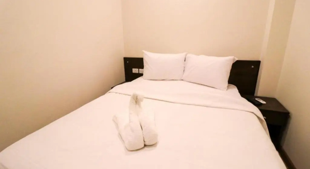 Одноместный номер Economy Elysees Hotel Tahrir Square