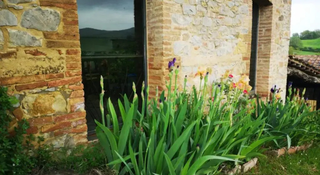 Апартаменты с 2 комнатами Agriturismo Poggiarellino - Montalcino