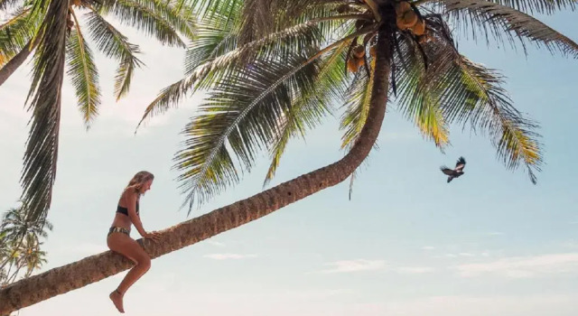 Standard dublă cameră Nirvana Beach Boutique Hotel