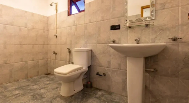 Номер Economy Dorian Guest House and Restaurant