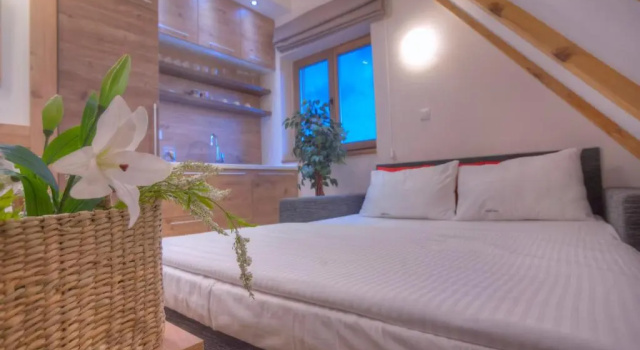 Студия Villa Natural Wood