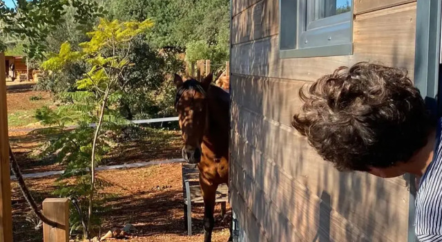 Tiny House Horses Hbergement Atypique Loul, Забронировать Дом для отпуска Сан-Клементе 