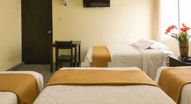 Четырёхместный номер Comfort Hotel Plaza