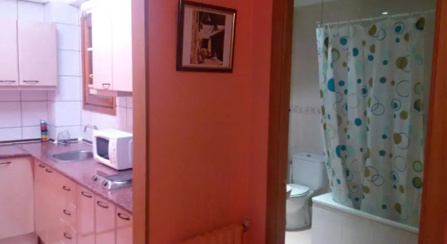 Апартаменты Apartaments Els Avets