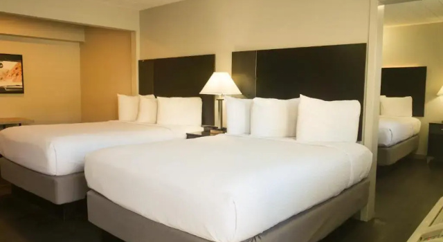 Номер Superior Americana Lodge