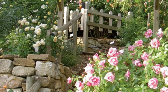 Номер Standard Les Jardins de l'Abbaye