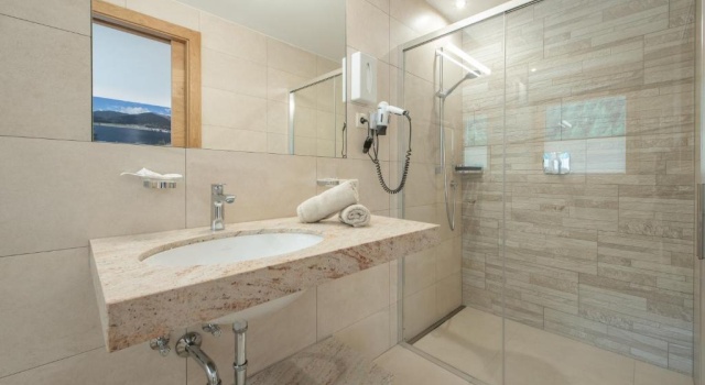 Двухместный номер Standard Hotel Theiner