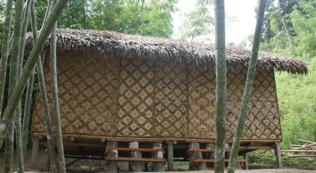 Номер Standard Rain Forest Inn