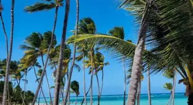 Caribbean Suites Deluxe Beach Club & Pool, Reservar Hotel Hotéis em Bavaro com Estacionamento, Estacionamento