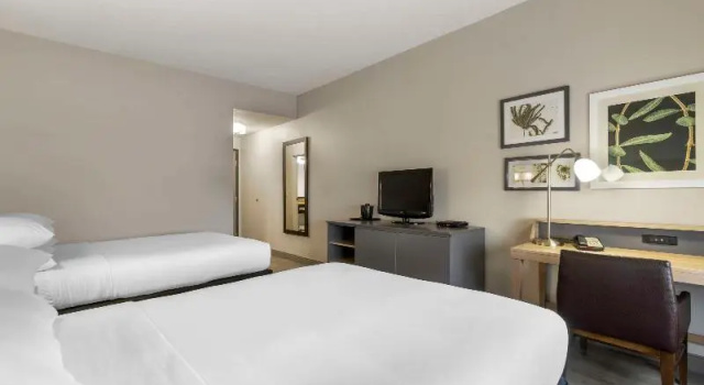 Четырёхместный номер Standard Country Inn & Suites by Radisson, Tampa Airport North, FL
