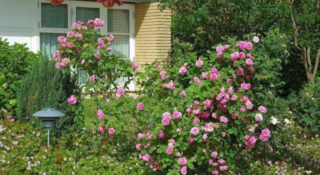 Rose-House Hillerød, Забронировать Отель Хиллерёд North Zealand