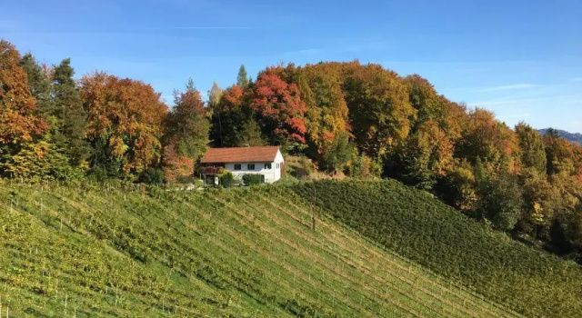 Апартаменты с 2 комнатами Bio-Weingut Leitner