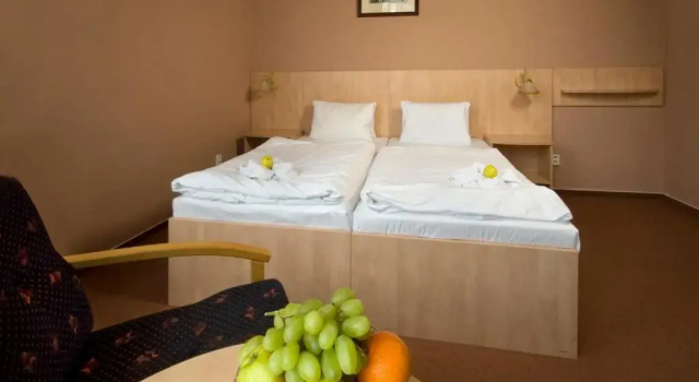 Двухместный номер Standard Hotel Metropol