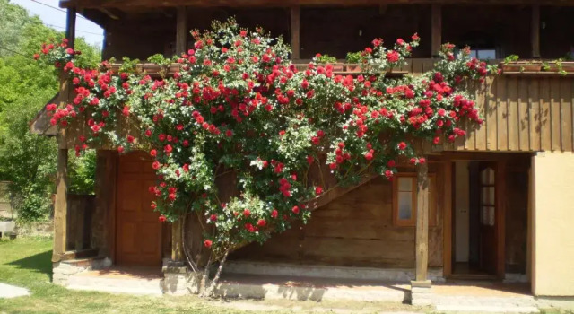 Apartments Iža Na Trem, 予約 アパートメント Čigoč シサク・モスラヴィナ