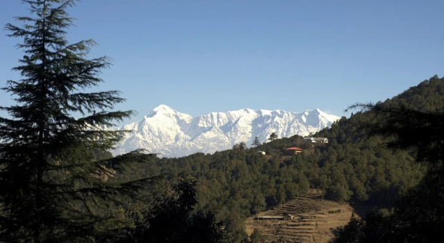 Номер Premium Tree of Life Grand Oak Manor, Binsar Wildlife Sanctuary